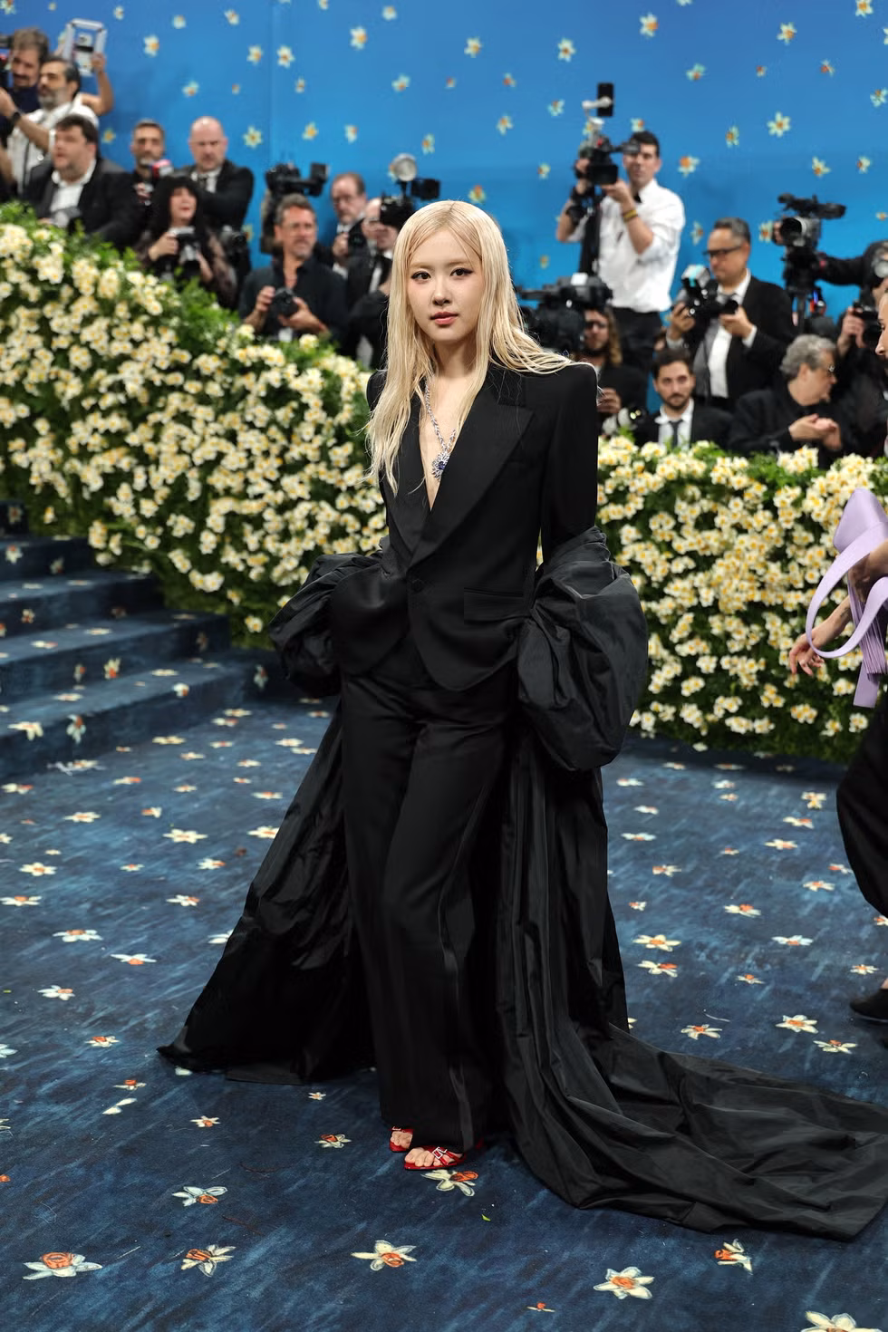 Rose in Saint Laurent